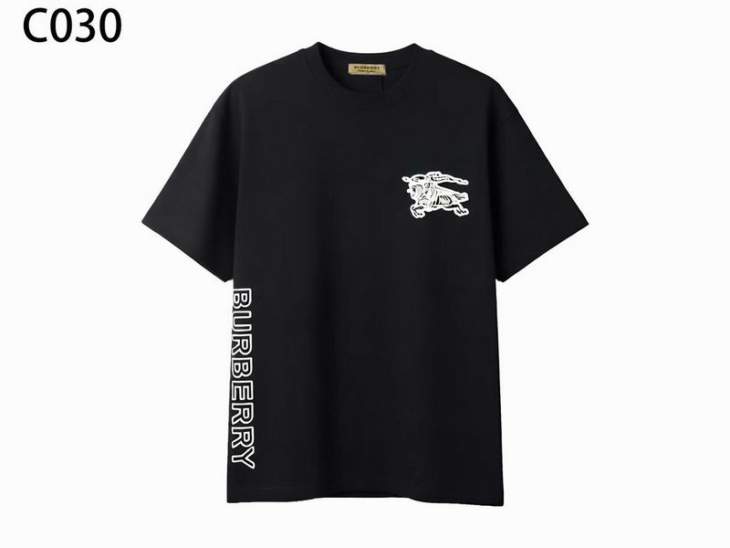 Picture of Burberry T Shirts Short _SKUBurberryS-2XLxetr13319766